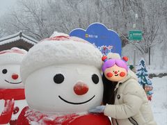 -少华山国家森林公园