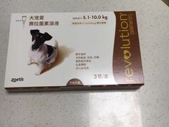 -派联宠物医院·24h·CT·异宠
