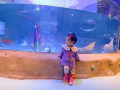 -沈阳海洋探索中心