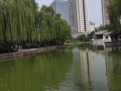 -团结湖公园