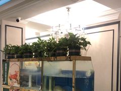 -西部马华清真食府·丝路菜(大钟寺店)