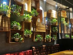 -比格比萨自助(花园路店)