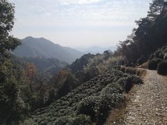 -西湖风景区十里琅珰-五云山