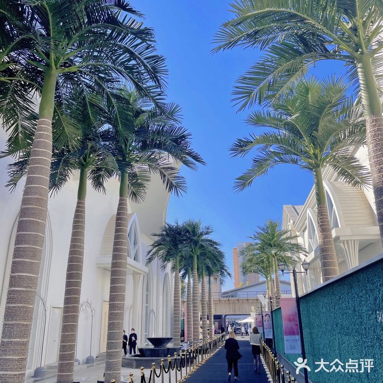 跟着杨紫一起打卡ARTIZ Land艺术之城