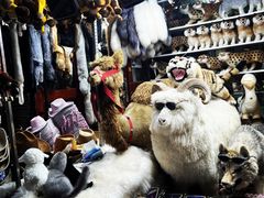 -新疆国际大巴扎