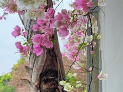 -深圳国际园林花卉博览园