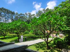 -南宁荔园维景国际酒店·荔园中餐厅