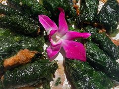 -老友王·南宁特色菜(金汇如意坊店)