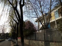 -南京育英第二外国语学校(大厂校区)