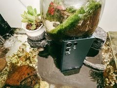 -三星授权体验店(西新街店)