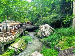 -刘伯温故里景区百丈漈
