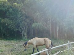 -宝业会稽山高尔夫俱乐部