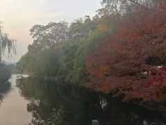 -西湖外事游船(花港观鱼码头)