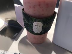 -野萃山·潮汕厚果汁(十亩地店)