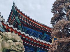 -西安大兴善寺