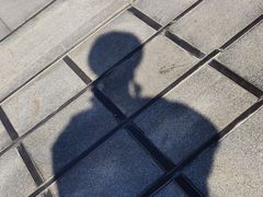 -河北省园博园