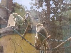 -石家庄市动物园