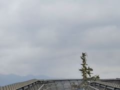 -福道