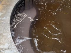 -碧水湾温泉