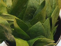 -如一鸡鲍鱼·粤式煲汤(长泰广场店)