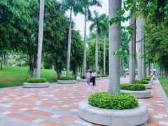 -香蜜公园