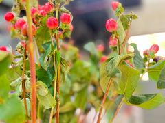 -方庄书店(通润商务会馆店)