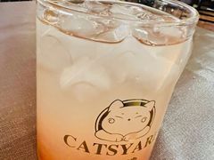 -猫小院猫主题餐厅(南锣旗舰店)