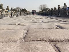 -卢沟桥