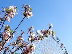 -观澜湖生态运动公社