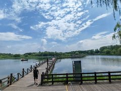 -溱湖国家湿地公园