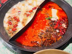 鸡松茸汤鸳鸯锅-鸿姐老火锅(龙阳店)