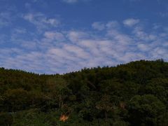 -梅岭月亮湾山体公园