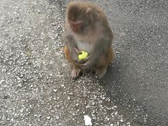 -黔灵山公园-南门售票处