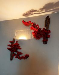 -琦品高端美容SPA私佳美场