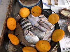 鱼锅饼子-宾朋美食海鲜餐厅·特色美食专访(兴海路店)