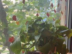 -泥糊破店小酒馆·团建聚餐(南京西路店)