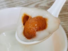 鲜肉汤圆-利达汤圆馄饨(川公路店)