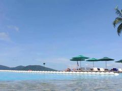 -同庆楼(滨湖万达广场店)