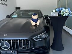 -奔驰利星行(北京花乡店)