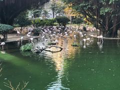 -九龙公园