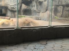 -南昌动物园