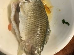 软骨鲫鱼-榕记(番禺总店)