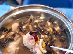 吃稻谷文昌鸡-千岛蚝高压锅生蚝·人参火锅(白云万达店)