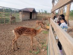 -安德鲁户外烧烤帐篷营地(马泉营店)