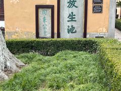 -范蠡湖公园