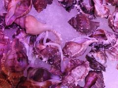 -烤圣自助美食音乐餐厅