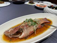 -骏莱海鲜鱼港(五角场店)