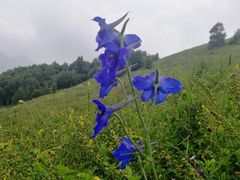 -北京灵山风景区