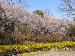 -金陵花卉交易市场