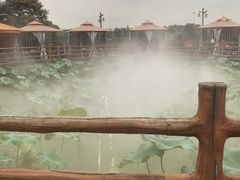 -马帮寨院坝火锅(龙港公园店)